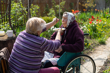 Elderly eighty plus year old woman in a wheel chair being fed in a home setting