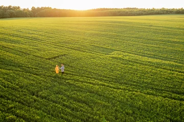 Poster Luchtfoto op groene tarweveld met paar lopen op traject op zonsondergang. Mensen genieten van de natuur op landbouwgrond. Breed landschap met kopieerruimte © rh2010