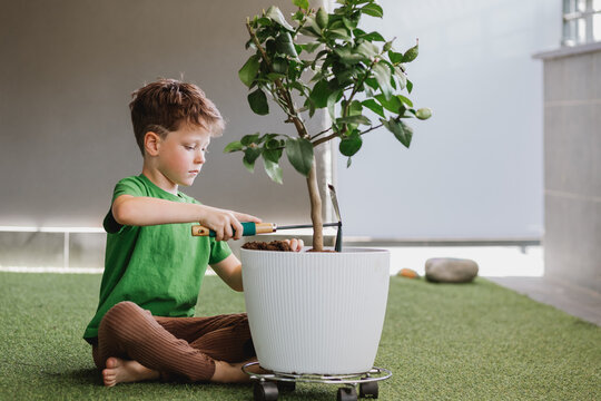 Boy loosening soil in flowerpot at home