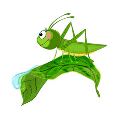 Grasshopper on leaf isolated. Cute cartoon locust crawling on leaf with dew drop. Funny grasshopper in summer nature. Mascot character green beetle.Happy smiling insect.Amusing bug.Vector illustration