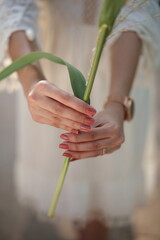 Young beautiful caucasian woman in long white dress walking in the blooming poppy field holding a bouquet of  grass in her hands. 