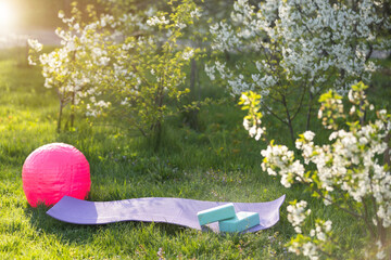 Yoga mat in a sunny garden. Relaxed atmosphere
