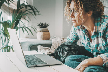 Woman working on laptop concentrated looking at the display. Lovely dog relaxing. Concept of modern people and animal best friend. Female enjoy online leisure activity using computer. People and dogs