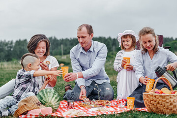 Happy family at a picnic. Picnic in the meadow or park. Young friends and their children in nature