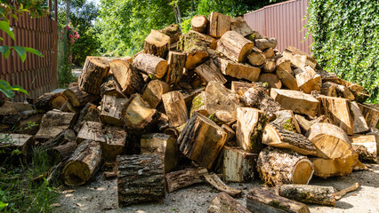 Preparing for the winter heating season. Huge pile of stumps is unloaded on roadway in village. Close-up. Oak firewood for wood-burning stove is sawn from dry fallen trees.