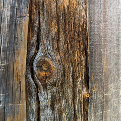 Old Wood Texture