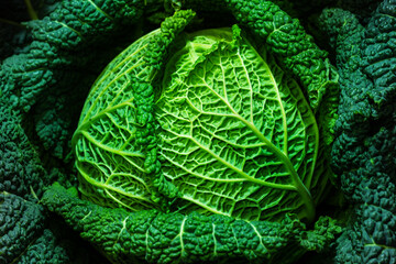 Extreme close-up with many details of a cabbage head from above