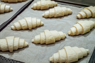 homemade croissants before baking on a baking sheet