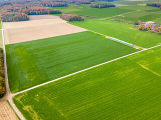  Aerial view of a  pastures and arable land. Panorama over healthy green crops in patchwork pasture farmland