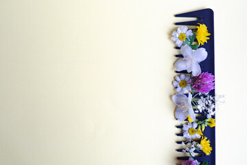 Top view black comb for hair with flowers beige background with copy space. Concept of natural, natural hair care, tools in the barbershop, hairstyle.