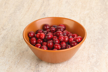 Ripe sweet tasty cranberry in the bowl