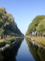 Trees along a river in Europe