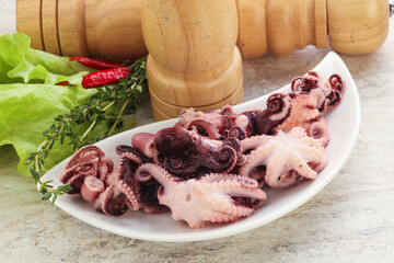 Marinated baby octopus seafood in the bowl