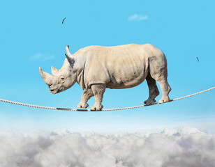 Big heavy bulky ropewalker rhinoceros on a rope in the sky © Sergey Novikov