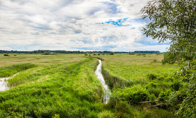Minsmere RSPB Nature Reserve