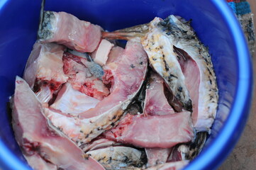 sliced fish steaks in a blue basin