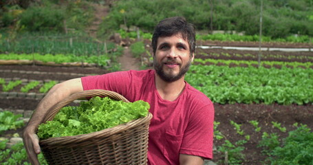 Young man holding basket of organic lettuces standing at urban farm