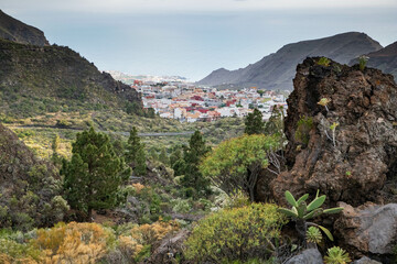 Fototapeta na wymiar rugged landscape and vegetation in Tenerife