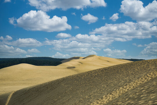 wundersch&ouml;ne Natur in Frankreich 
