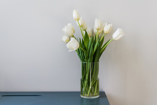 A bouquet of beautiful white tulips in a clear vase stands on a blue table. A light wall behind and a place for the text. Home interior