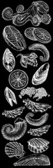 Obraz premium Seafood illustrations. Hand drawn line sea fishes, sushi rolls, oysters, mussels, lobster, squid, octopus, crabs, prawns