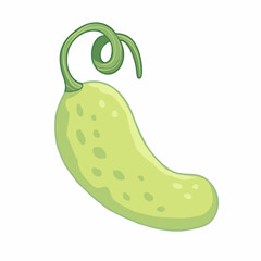 Vector illustration of cartoon salad cucumber isolated on white background. Children cute design with colorful outline.  Vegetable food.