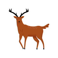Brown deer with two horns semi flat color vector character. Full sized animal on white. Wildlife conservation. Mule deer. Simple cartoon style illustration for web graphic design and animation
