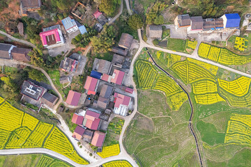 Obraz premium Beautiful mountain village with canola flowers blooming in spring