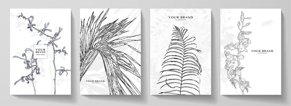 Floral cover design set with black line pattern (orchid flower and palm leaf on white background). Minimal vector background pattern for tropical menu, elite summer sale, invitation template