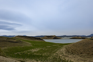 Several Icelandic sheep grazing on a meadows of hills next to a lake.