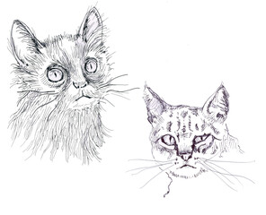 Two cats, a calm cat and an angry cat. Ink drawings.