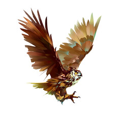 Obraz premium Drawn bird in flight attacking owl isolated on white background