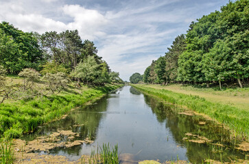 Fototapeta na wymiar Long and straight canal, lined with reeds, grass, trees and bushes, in the dunes between Zandvoort and Noordwijk in the Netherlands