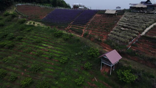 A panoramic landscape at viewpoint in strawberry field in Mon Jam the north of Thailand