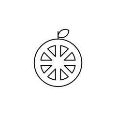 Fruit, Fresh, Healthy Thin Line Icon Vector Illustration Logo Template. Suitable For Many Purposes.