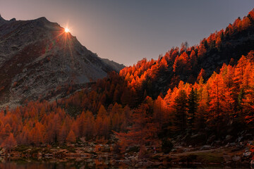 Amazing sunset over the autumnal wood of Aosta Valley Italian Alps - obrazy, fototapety, plakaty