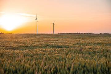 Obraz premium View of wind power turbines, part of a wind farm. Wind turbines on green field in countryside. Wind power plant.