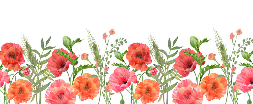 Seamless border with watercolor poppies