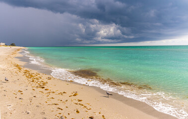 Fototapeta premium Storm Clouds and Turquoise Waters at Venice Beach, Venice, Florida, USA