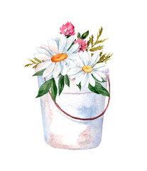 Watercolor flowers in a pot. Chamomile flowers in an iron bucket. Flower composition. Bouquet.