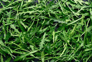 Fototapeta na wymiar Background with fresh arugula leaves.