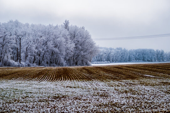 El CANAL DE CASTILLA con CENCELLADA