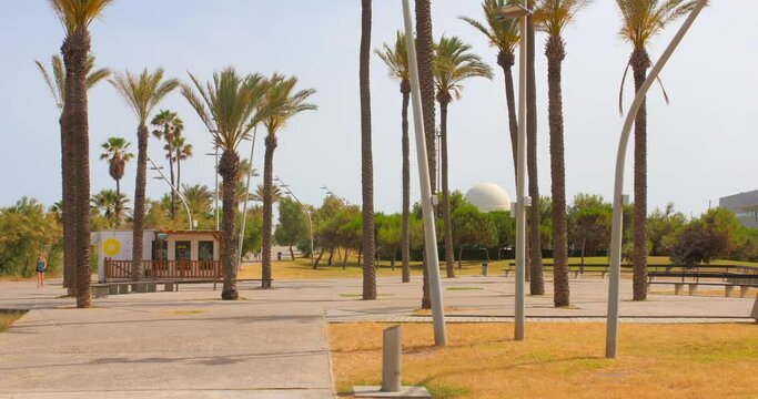 Palm Trees At Parque Litoral With Planetarium In The Background In El Grao, Castellon, Spain. - panning