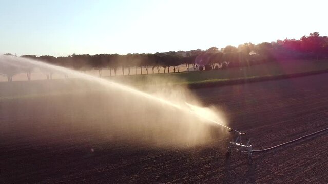 As the sun starts to set a large sprinkler is used to water a ploughed field 