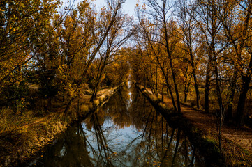 Canal de Castilla en otoño