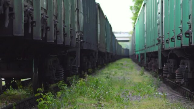 View between two rows of standing freight trains. Dark green carriages in the parking lot on a summer day.