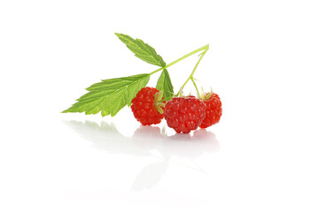 fresh ripe raspberries isolated on a white background