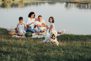 Blurred Four Members Family Having Picnic at Sunset by the Lake, Their Pet West Highland White Terrier Dog in Focus Running Into the Camera