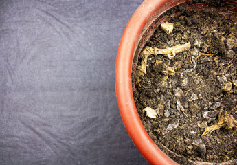 Pot with old dry soil with place for text.Old dry dead soil ground in a flower pot.