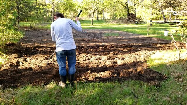 Man raking freshly pulverized soil smoothing surface preparing garden for vegetable planting.